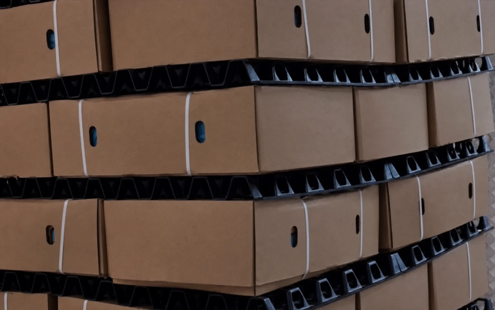 Cajas neutras apiladas con separadores FreezeTeq NFS-II